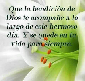 Meet your Posher, Stella